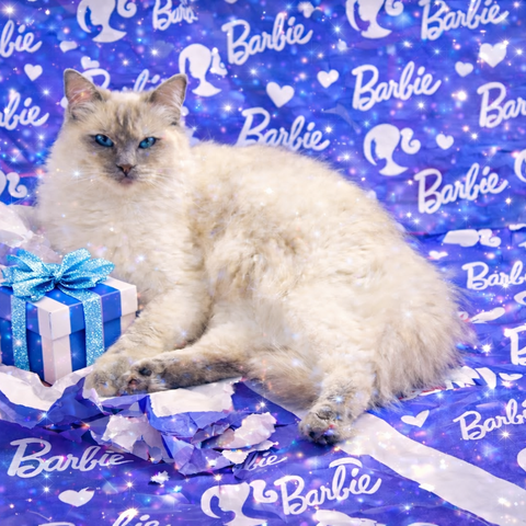 Princess Barbie Luxe Collection