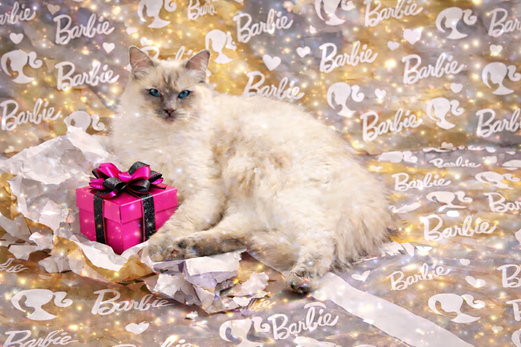 Princess Barbie Luxe Collection