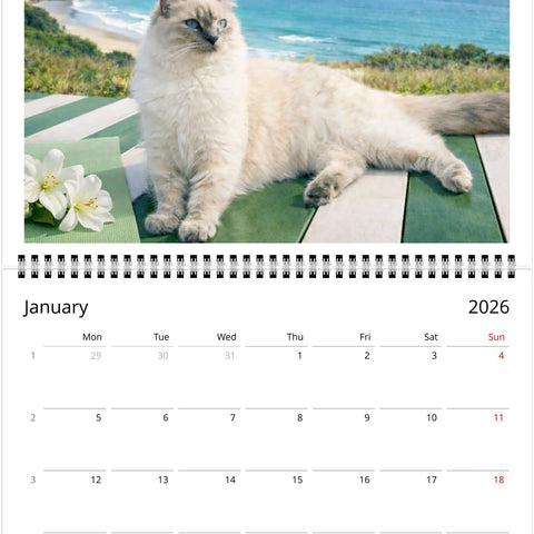 4b2d07bc-1583-4281-9685-c37f3f7c6386