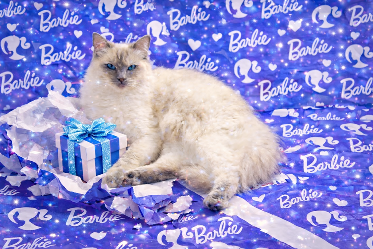 Princess Barbie Luxe Collection