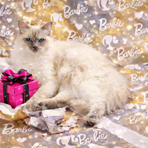 Princess Barbie Luxe Collection