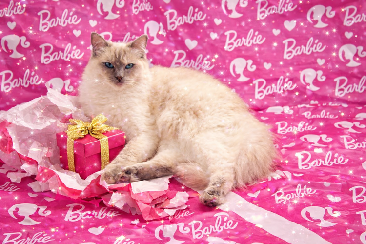 Princess Barbie Luxe Collection