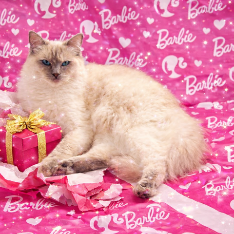 Princess Barbie Luxe Collection