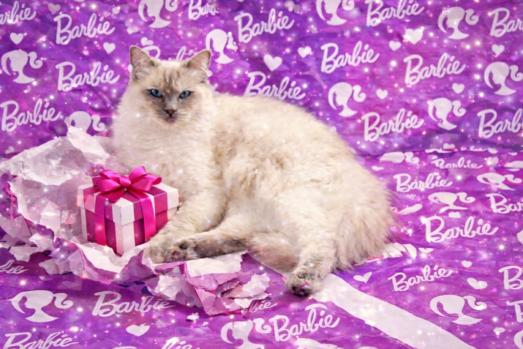 Princess Barbie Luxe Collection