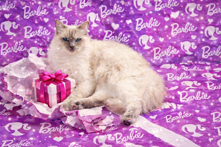 Princess Barbie Luxe Collection