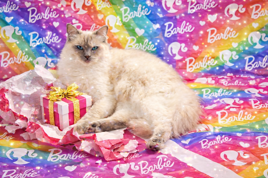 Princess Barbie Luxe Collection