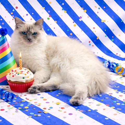 Princess Magic Wrapping Paper Collection