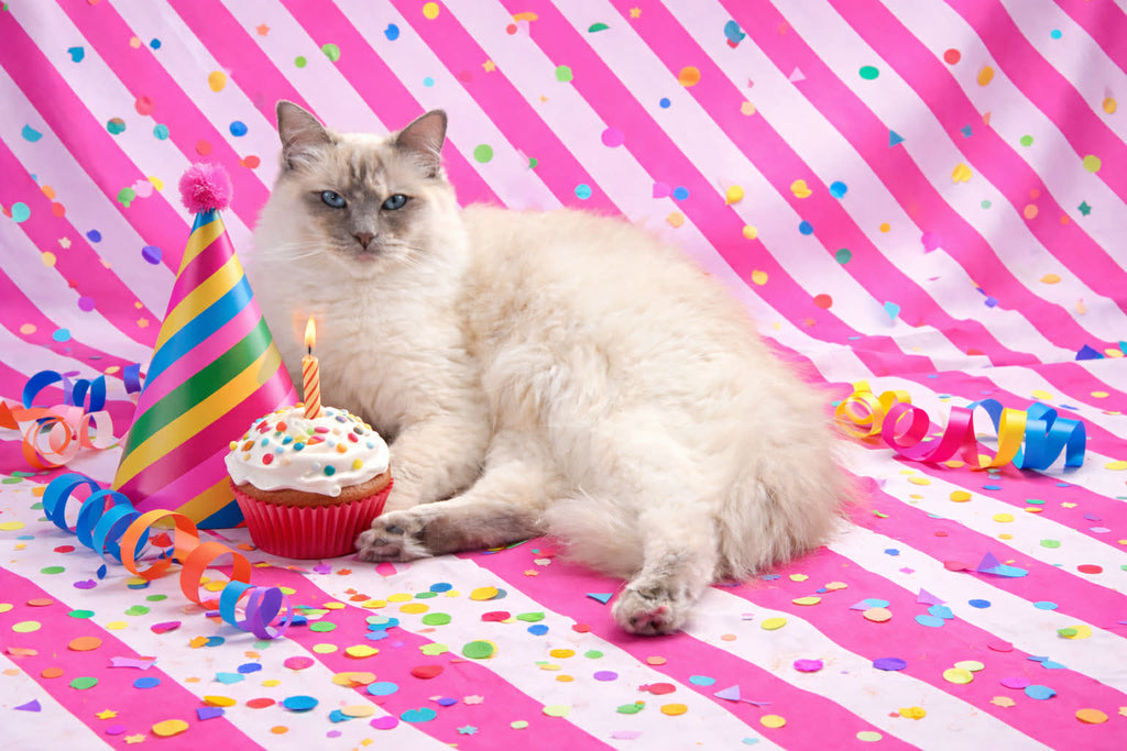 Princess Magic Wrapping Paper Collection