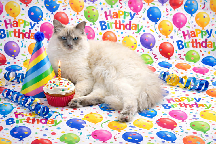 Princess Magic Wrapping Paper Collection