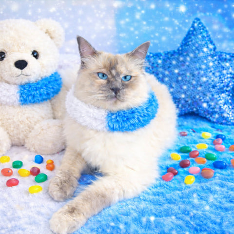 Princess Magic Playroom Collection