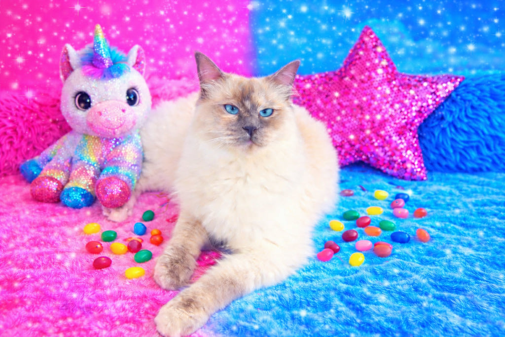 Princess Magic Playroom Collection