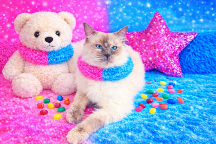 Princess Magic Playroom Collection