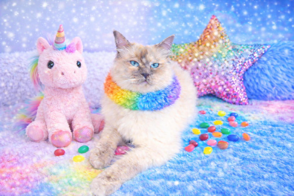 Princess Magic Playroom Collection