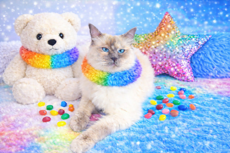 Princess Magic Playroom Collection