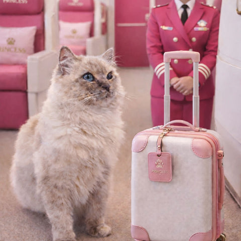 ✨ Princess on Holiday Collection