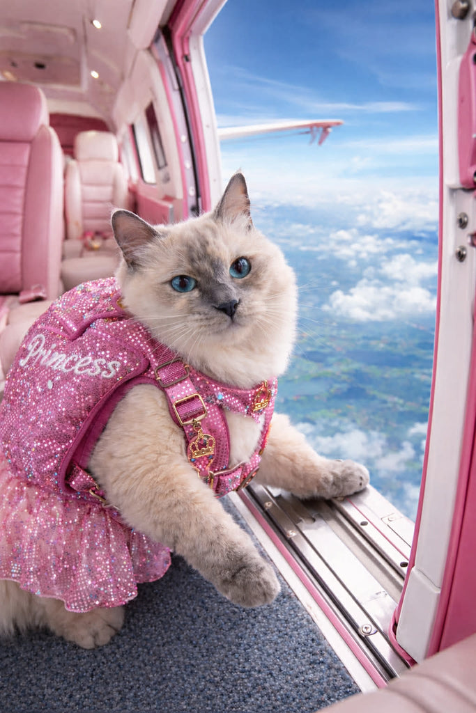 ✨ Princess on Holiday Collection