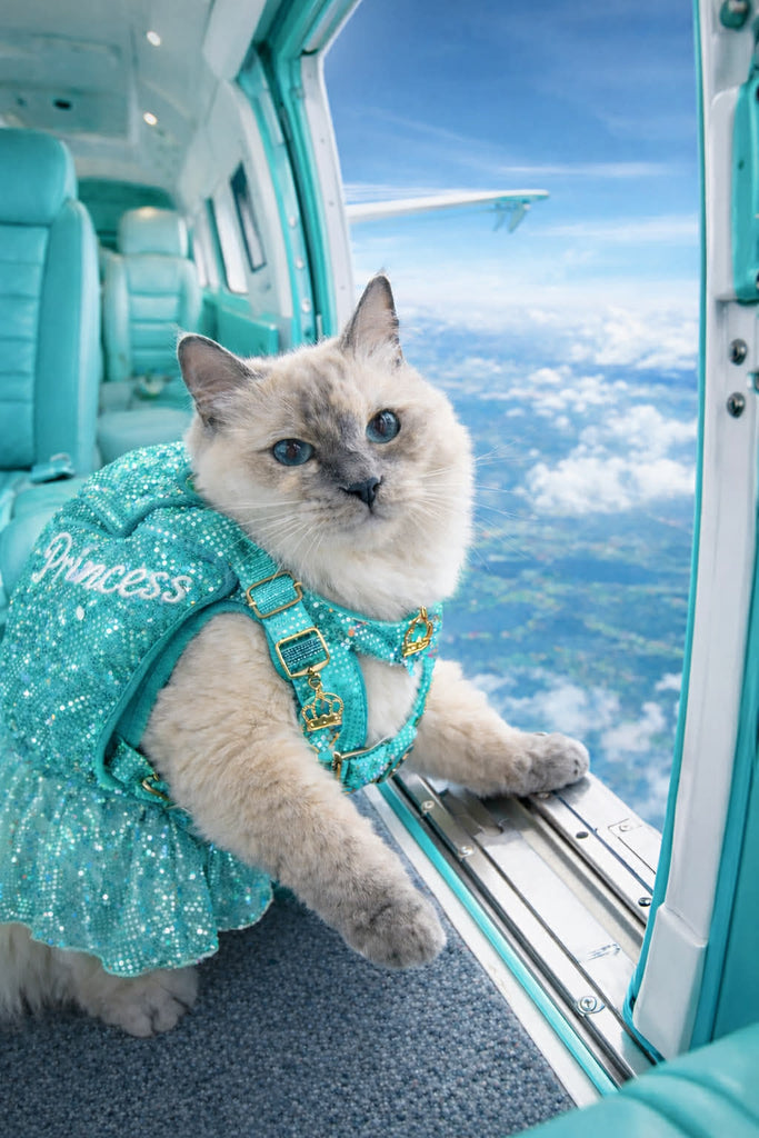 ✨ Princess on Holiday Collection