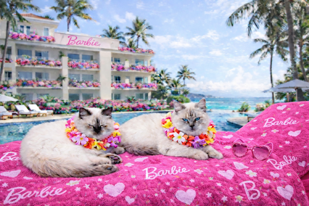 Princess & Romeo – Tropical Luxe Escape