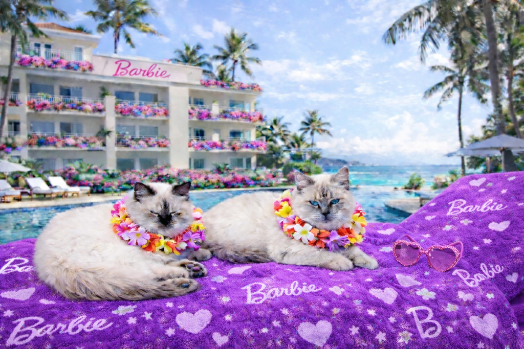 Princess & Romeo – Tropical Luxe Escape