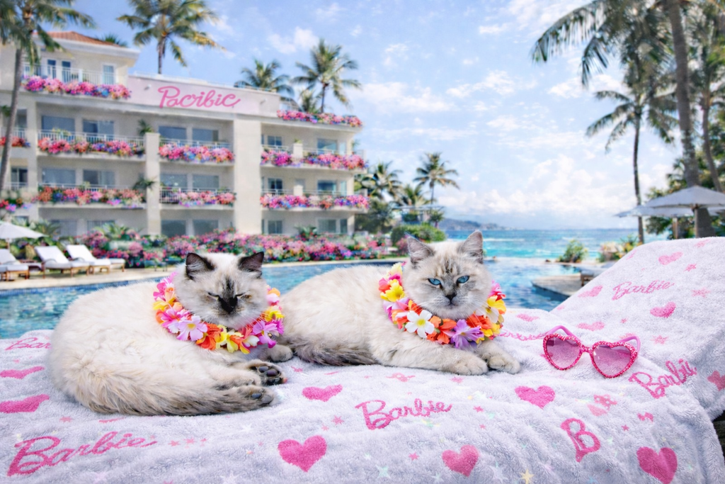 Princess & Romeo – Tropical Luxe Escape