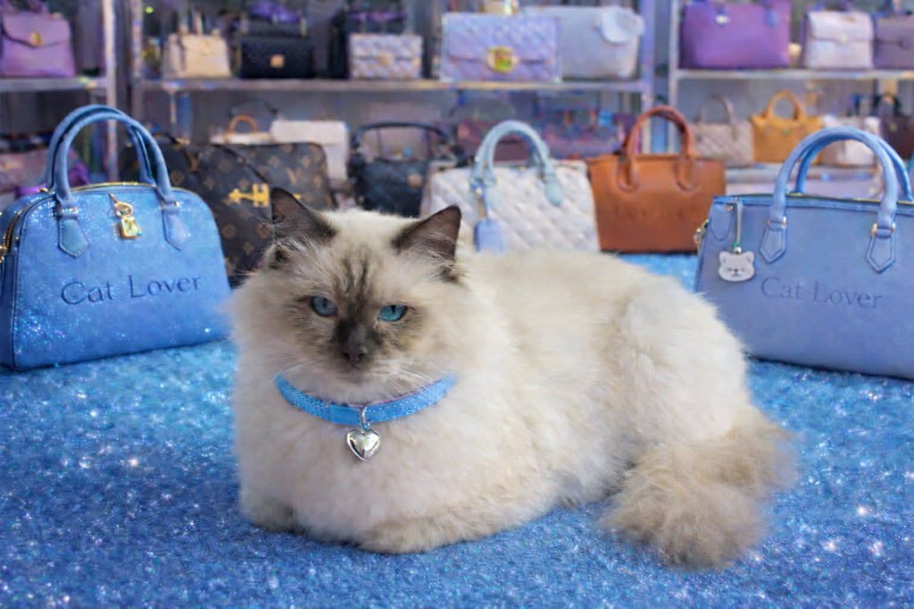 Romeo Luxe Collection 2#