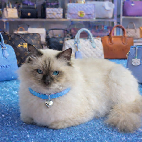 Romeo Luxe Collection 2#