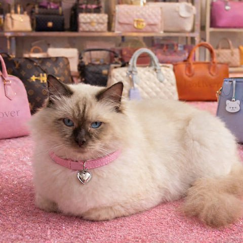 Romeo Luxe Collection 2#