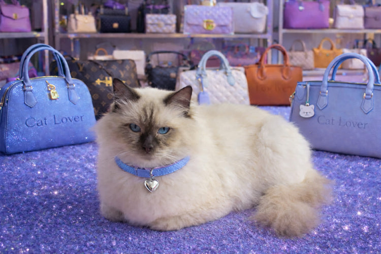 Romeo Luxe Collection 2#