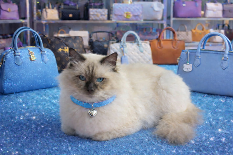 Romeo Luxe Collection 2#