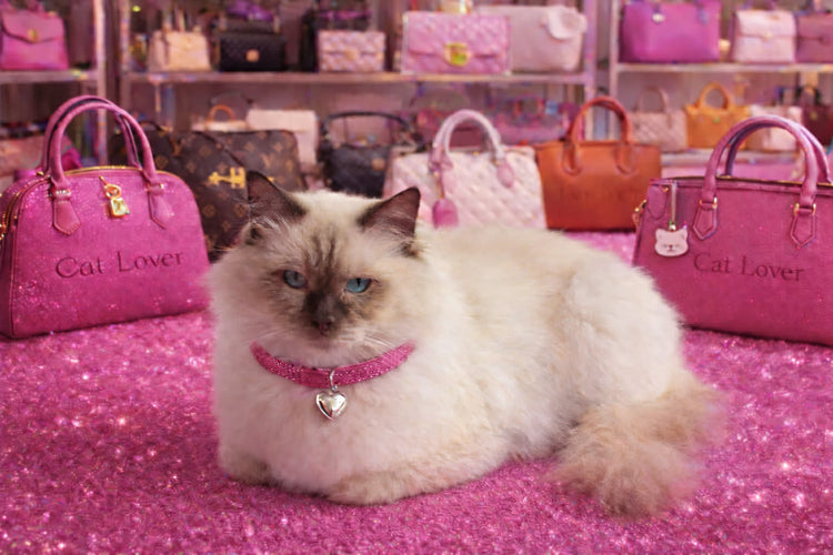 Romeo Luxe Collection 2#