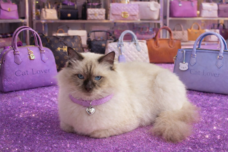 Romeo Luxe Collection 2#